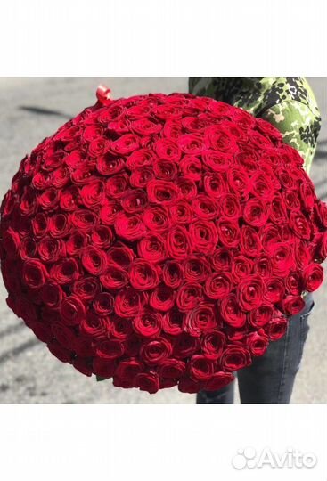 201 Роза с Бесплатной Доставкой