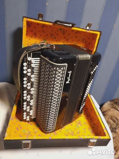 Баян Рубин 6