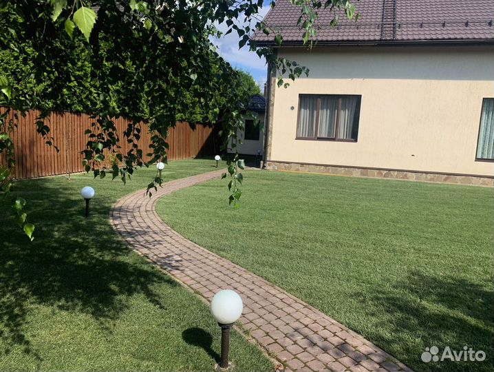 Рулонный газон