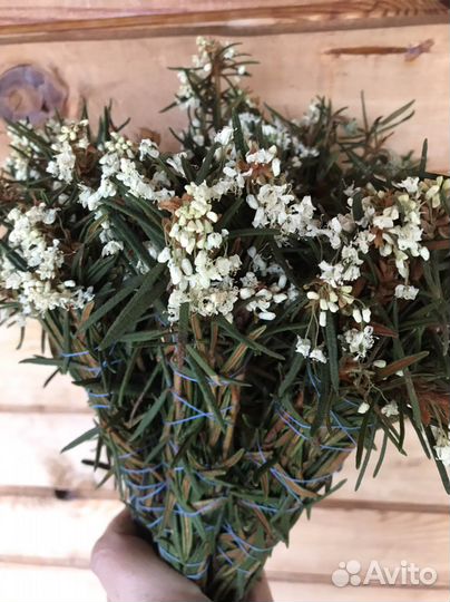 Багульник сухой и свежий скрутки и россыпью