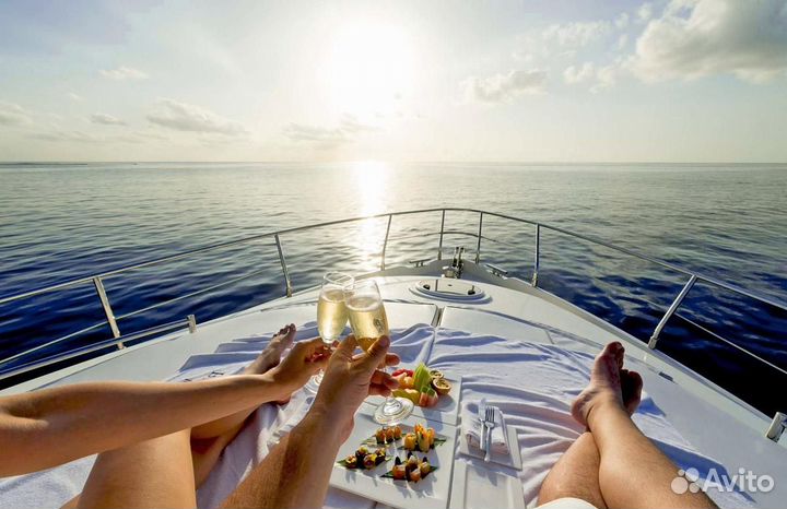 Экскурсии к дельфинам в открытое море 