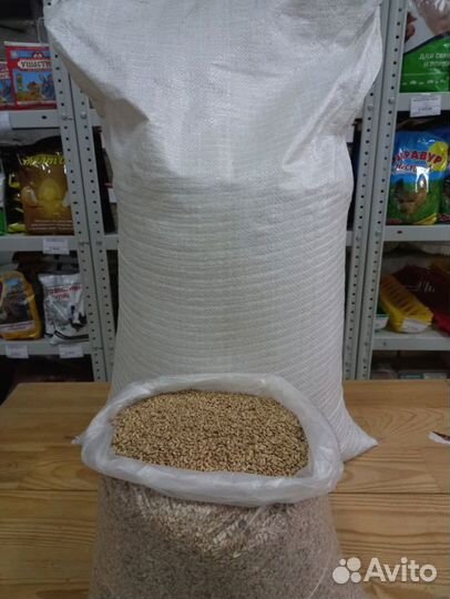 Пшеница зерновая 40 кг