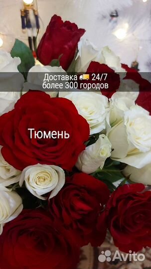Розы 21/51/101 Тюмень