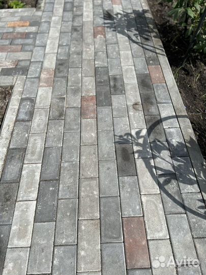 Продам боусчатку поревит