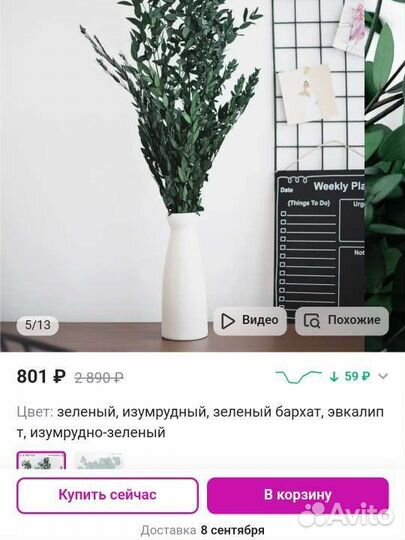 Сухоцвет эвкалипт стабилизированный, для декора