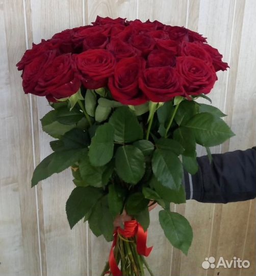 Букеты Цветы Роза 51 101