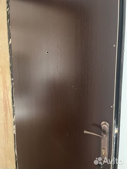 Входная дверь металлическая