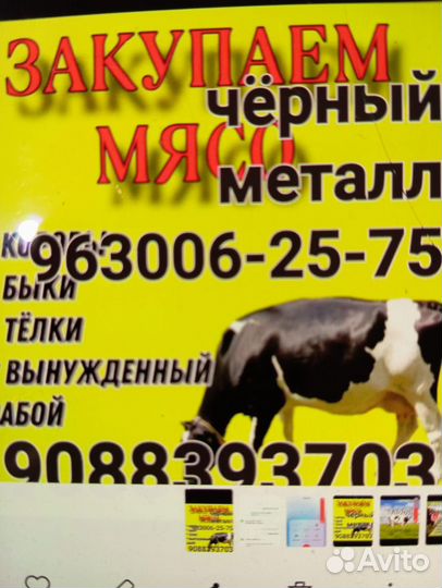 Закуп чермет