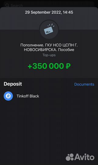 Помогаю получить помощь от государства