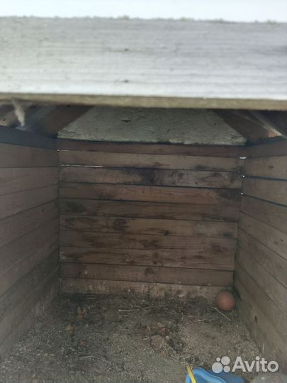 Будка для собаки утепленная