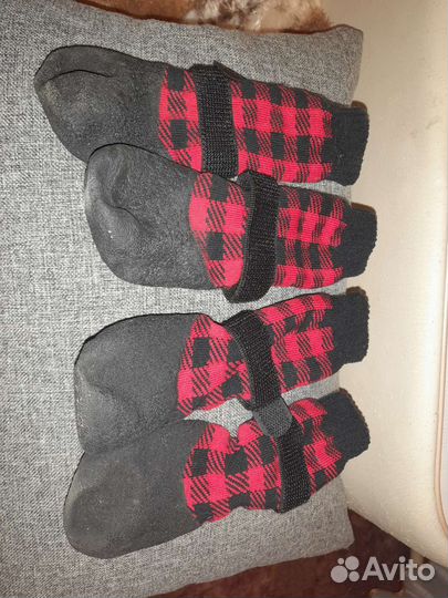 Обувь для собак