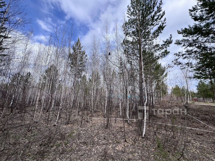 Участок 6 сот. (СНТ, ДНП)