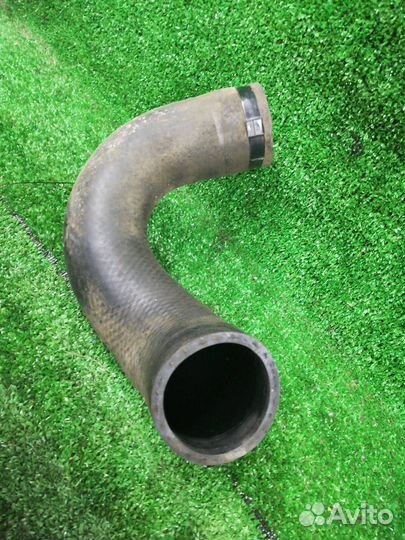 Патрубок интеркулера Ford Ranger 3