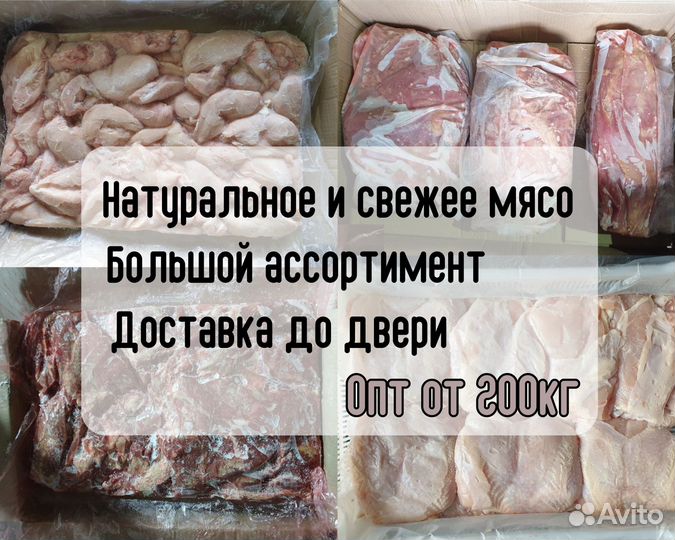 Мясо Курица, Свинина, Говядина, Баранина оптом