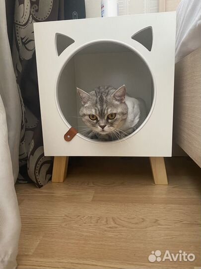 Домик для кошки / собаки