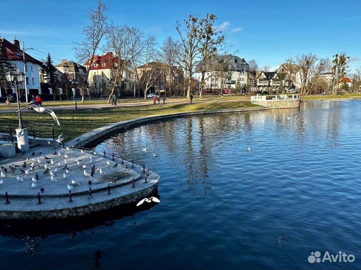 Экскурсионные туры в Калининград