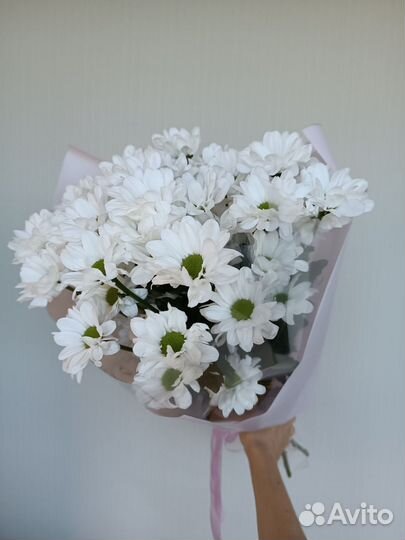 Ромашки. Букет Ромашек