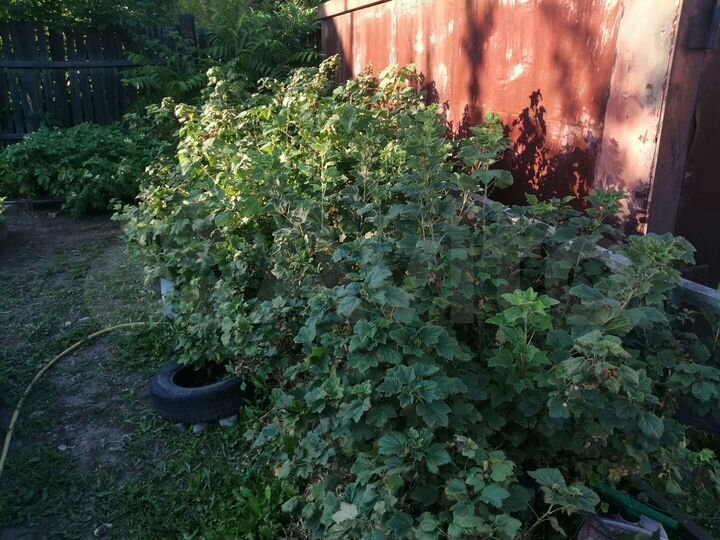 Дом 242 м² на участке 15 сот.