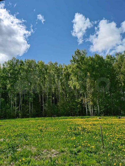 Участок 12 сот. (ИЖС)