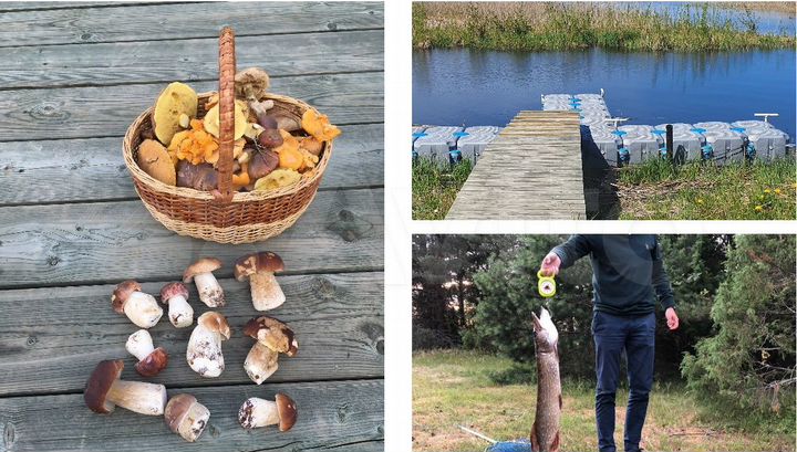 Участок 40 сот. (СНТ, ДНП)