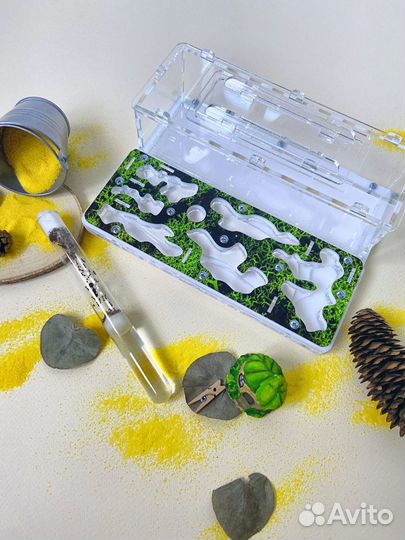 Муравьиная ферма с муравьями