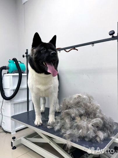 Груминг кошек и собак