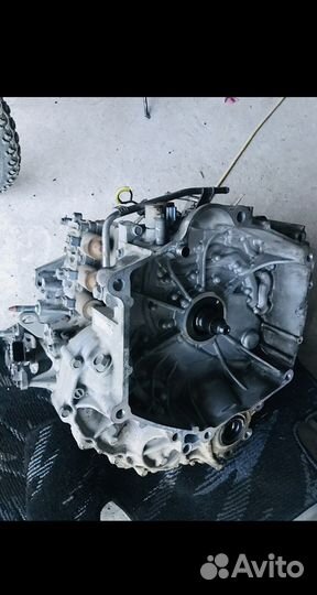 Акп хонда фред партнер