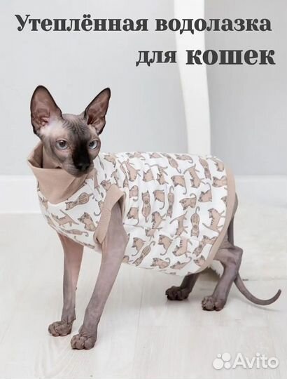 Одежда для кошек новая