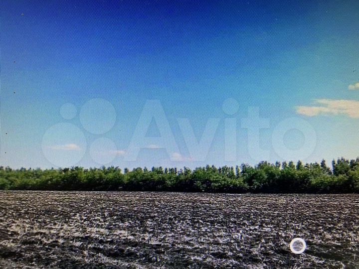 Участок 1,5 га (СНТ, ДНП)