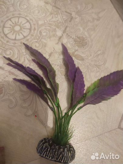 Фильтр сачек подсветка растения камни