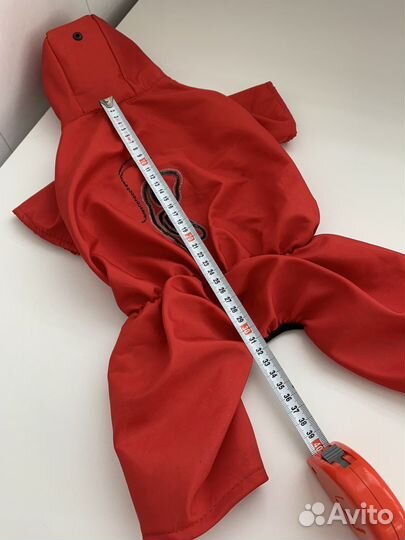 Курточка и комбинезон для маленьких собачек xs