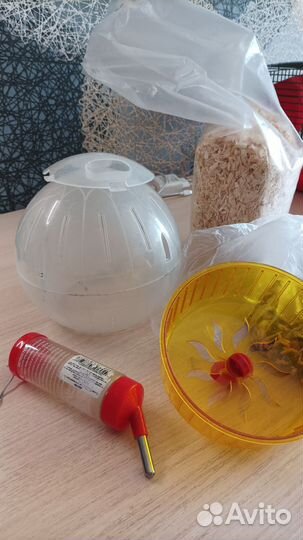 Прогулочный шар для хомяка