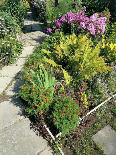 Дача 50 м² на участке 6 сот.