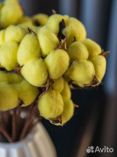 Букет хлопок