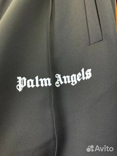 Шорты palm angel