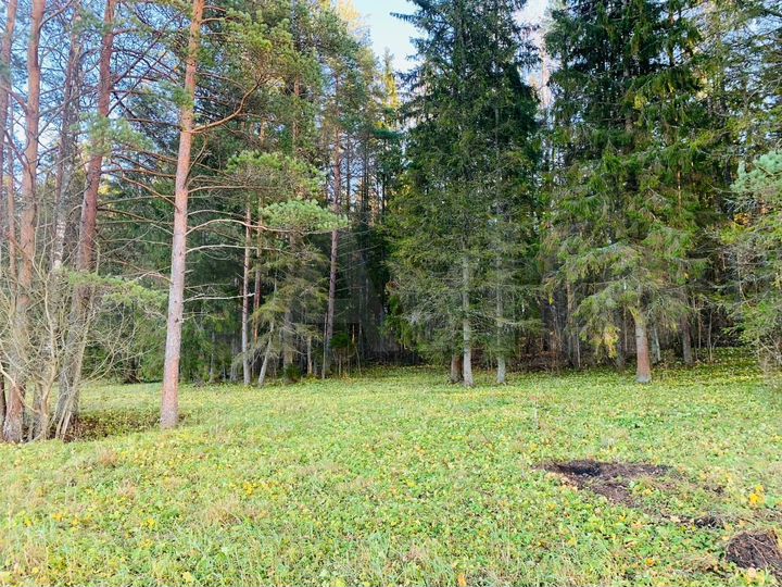 Участок 11,5 сот. (СНТ, ДНП)