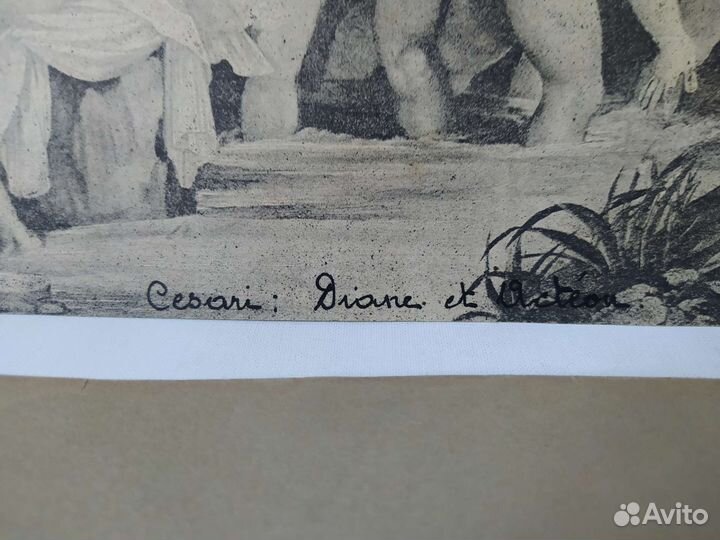 Редкая Гравюра