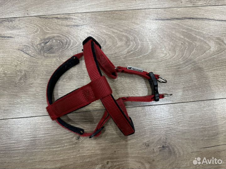 Шлейка для собаки
