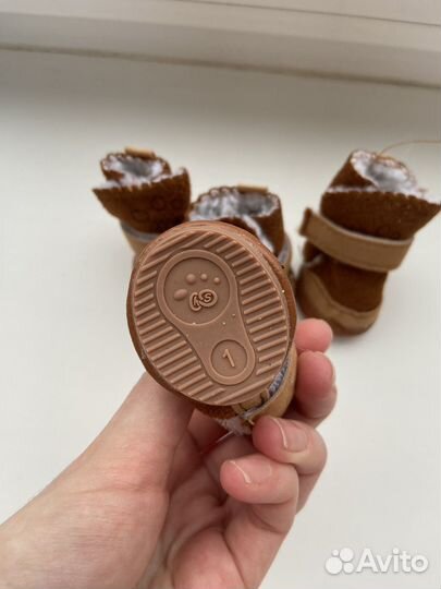 Одежда для маленьких собак