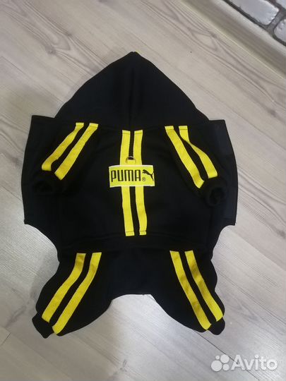 Одежда для собак