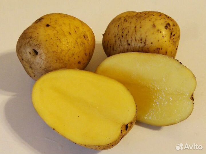 Картофель с доставкой