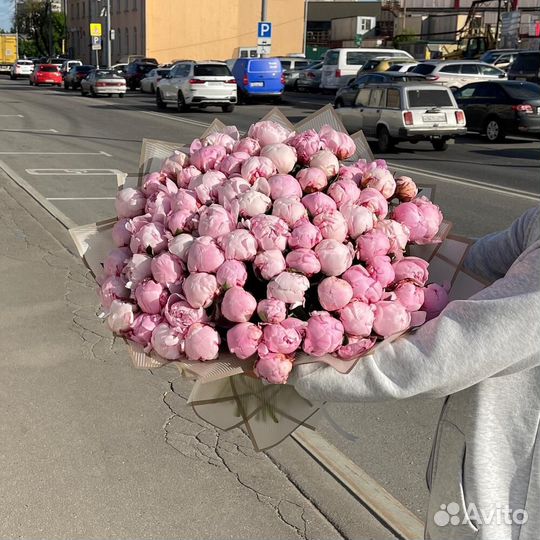 Пионы оптом