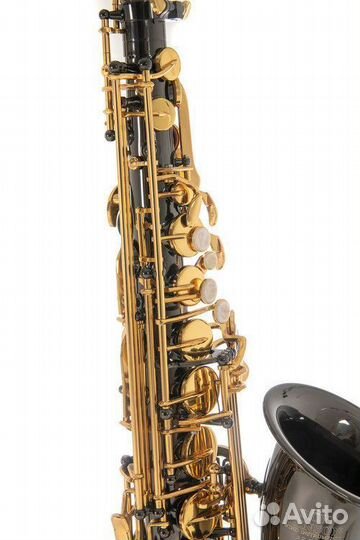 Саксофон альт Roy Benson AS-202K