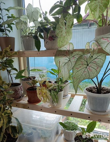 Стеллаж для цветов на подоконник