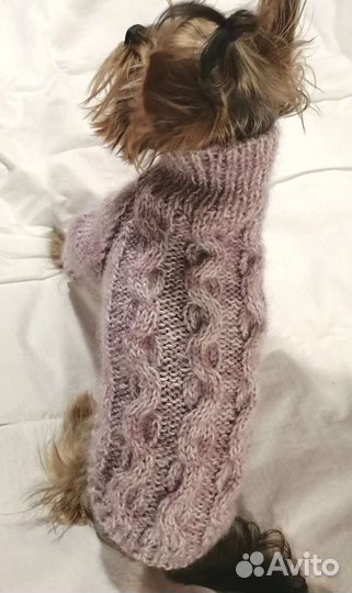 Одежда для маленьких собак