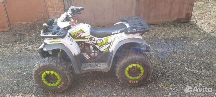 Motoland Wild Basic 125