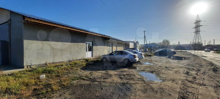 Торговая площадь, 150 м²