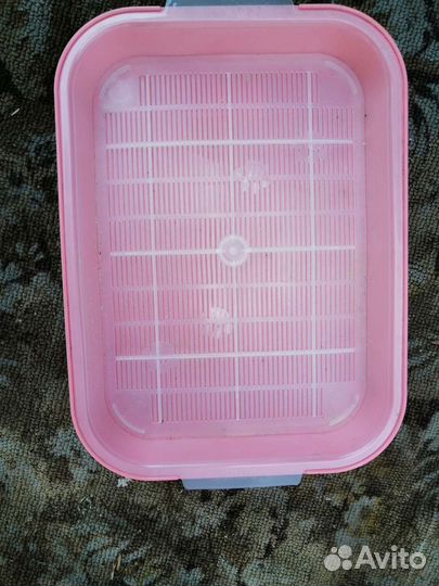 Лоток для кошки