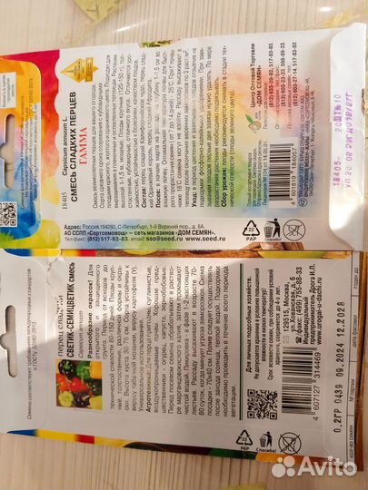 Рассада перца сладкого