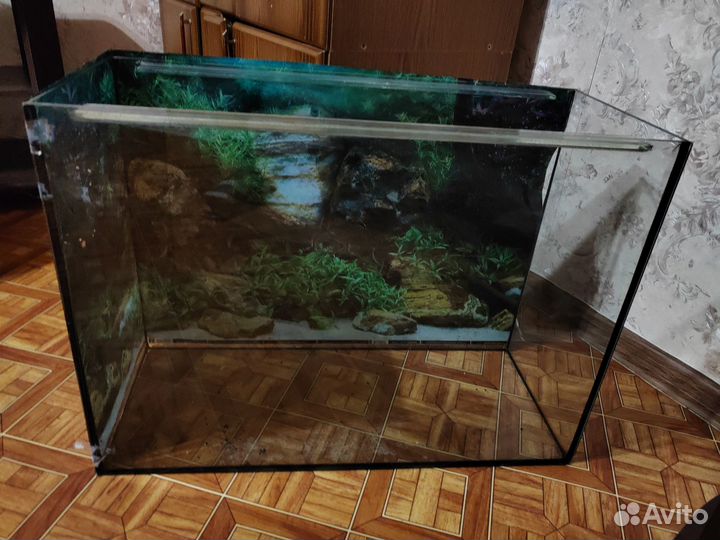 Аквариум на 100 литров